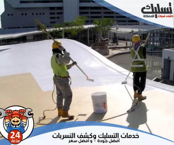 شركة عزل مائي 