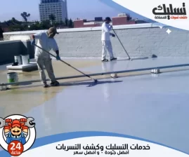 شركة عزل اسطح بخميس مشيط